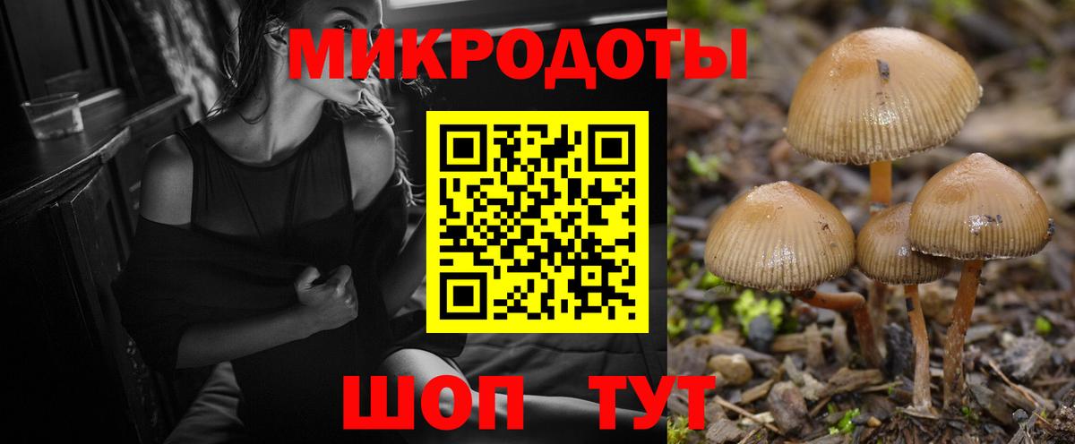 Среднеуральск  Псилоцибиновые грибы Psilocybine cubensis  Вход с VPN  Псилоцибиновые грибы Psilocybe 